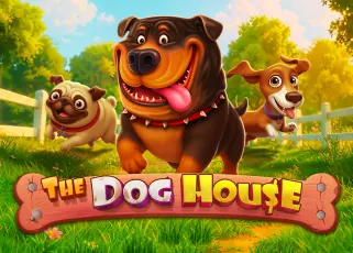 mio555 รีวิว The Dog House ทดลองเล่นฟรี